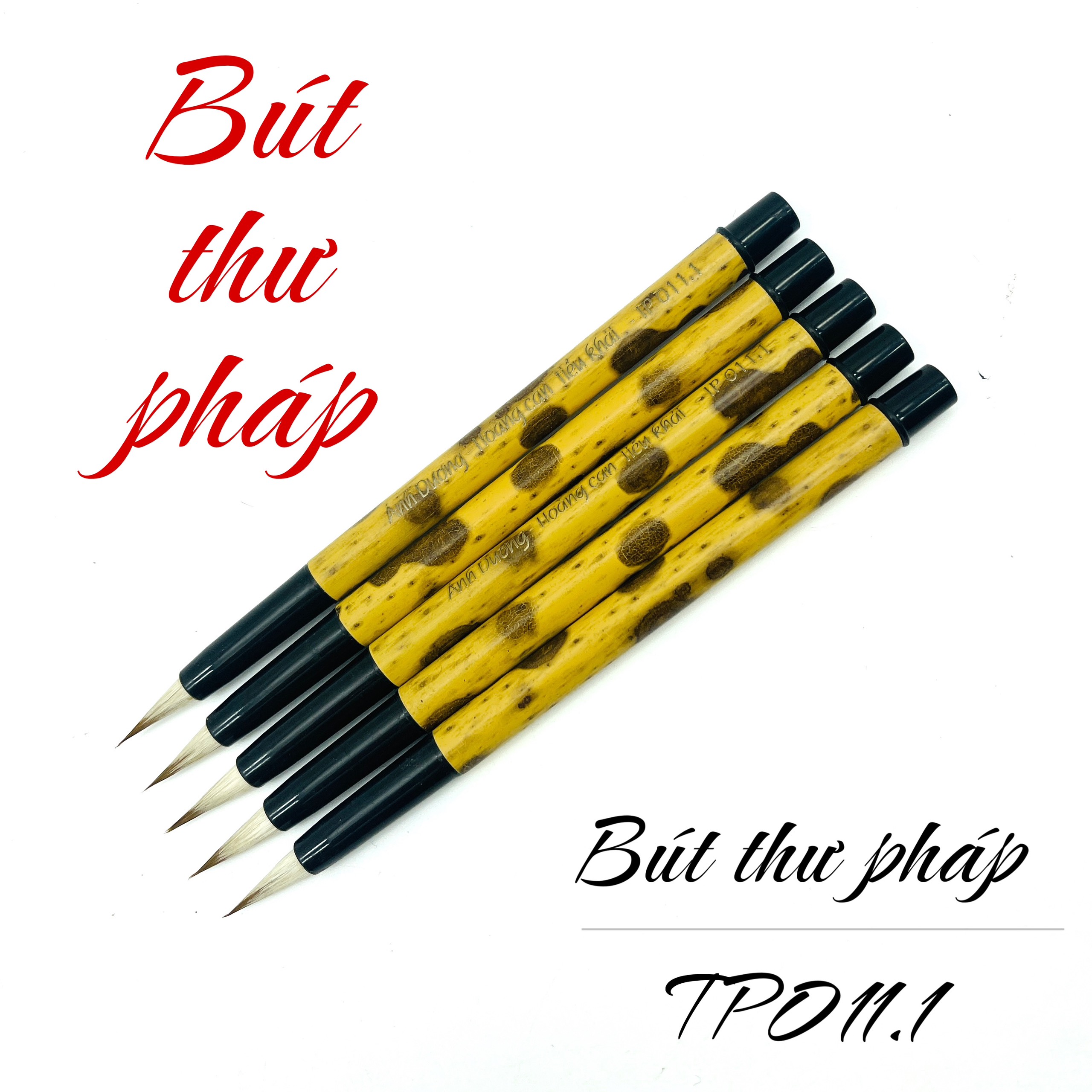 TP 011.1 - Hoàng Can Tiểu Khải - Kiêm hào