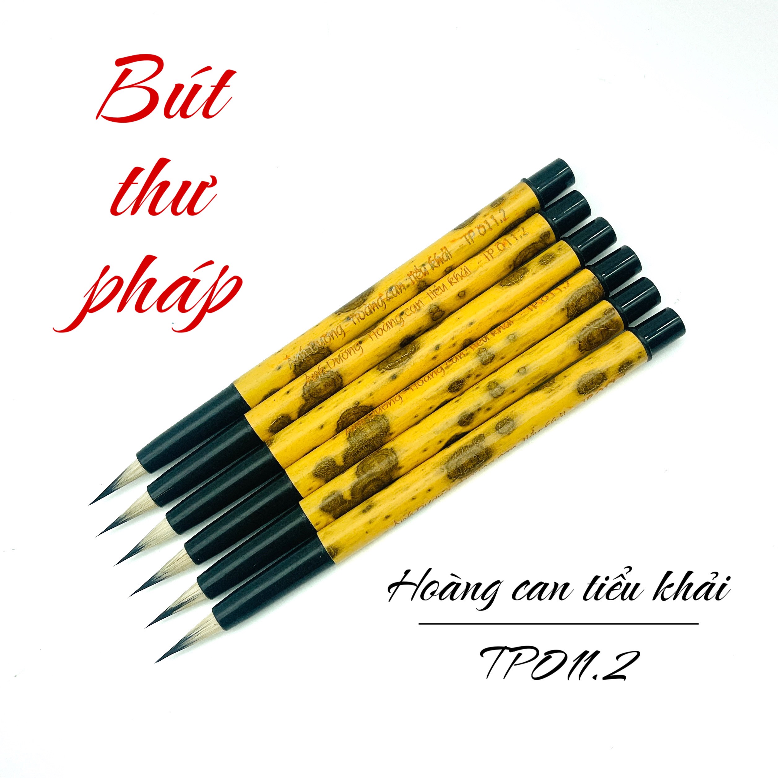 TP 011.2 - Hoàng Can Tiểu Khải - Lông sóc