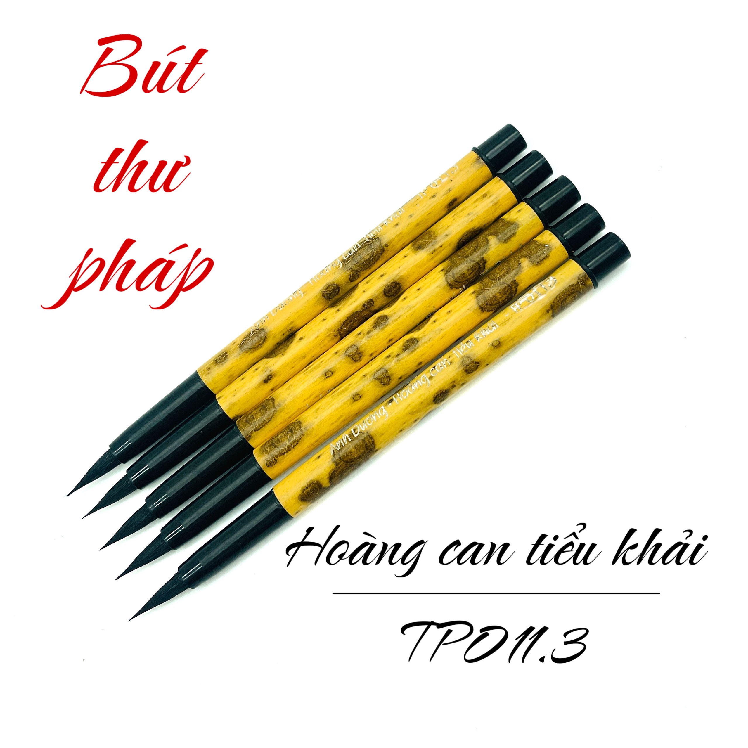 TP 011.3 Hoàng Can Tiểu Khải - Tử hào