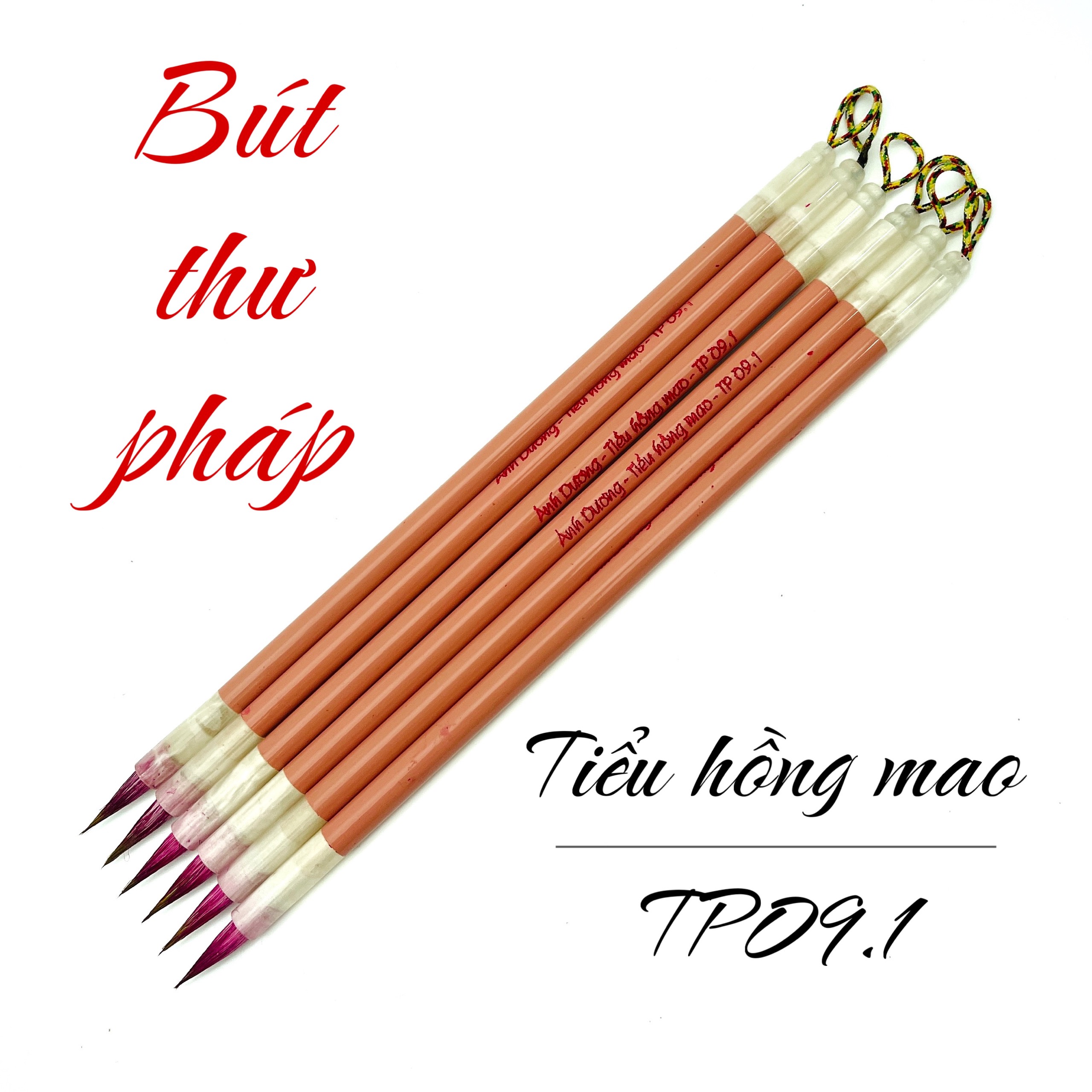 TP 09.1 Tiểu Hồng Mao