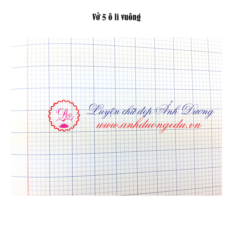 Vở ô ly đứng - 5 ly (48 trang) hình con sâu