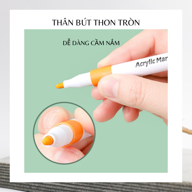 Bộ bút acrylic N206 - 24 màu