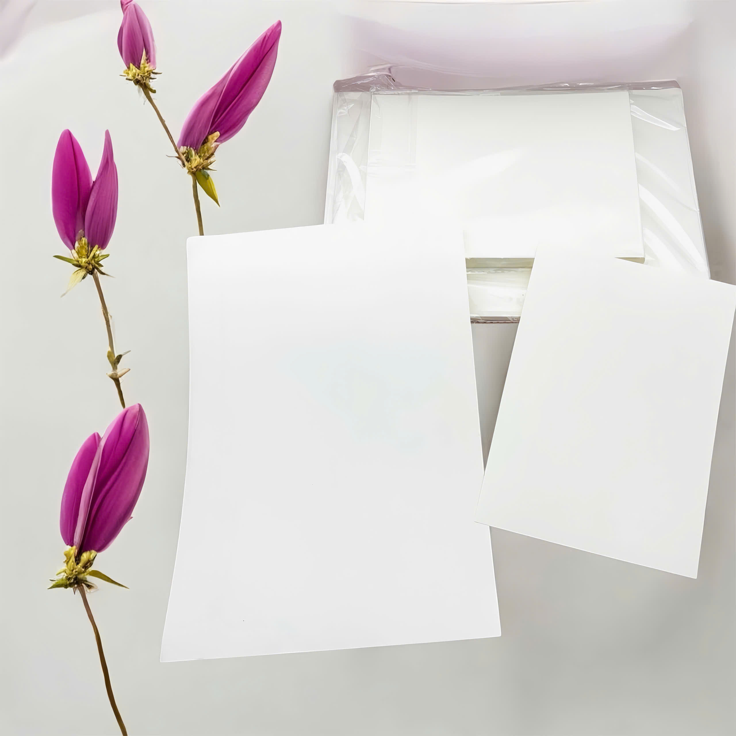 Giấy vẽ sáp dầu A4 (50 tờ/ tập)