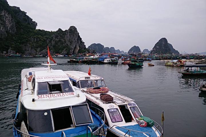 Những chuyến tàu cao tốc đưa đón khách du lịch