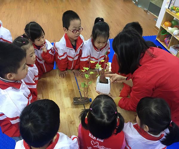 cùng sáng tạo với những vỏ chai nào!