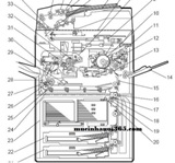 Tóm lược tiến trình copy của máy photocopy ricoh