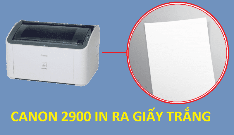 Nguyên nhân máy in canon 2900 in ra không có chữ, in ra giấy trắng ...
