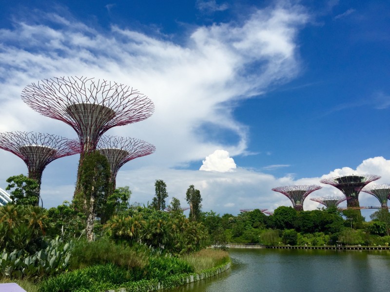 KHÁM PHÁ CÔNG VIÊN GARDEN BY THE BAY Ở SINGAPORE