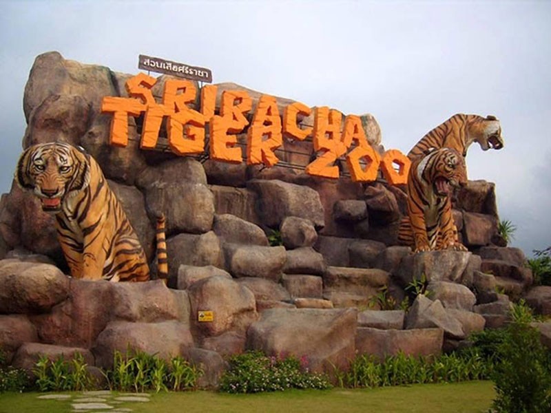 VƯỜN THÚ SRIRACHA TIGER ZOO Ở THÁI LAN