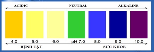 chức năng tạo kiềm tính