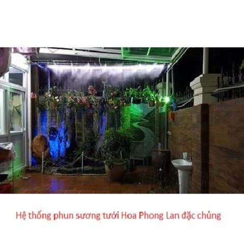 phun sương tưới lan