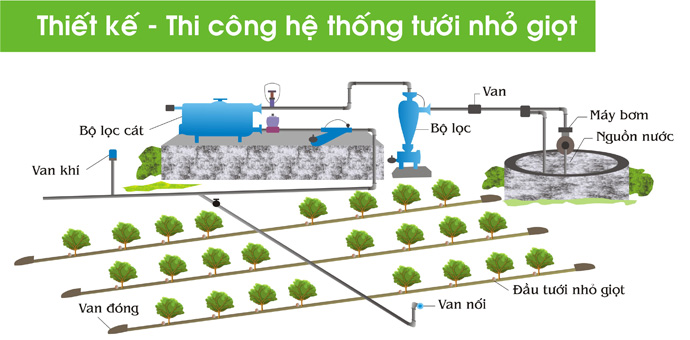 Thiết kế lắp đặt hệ thống tưới nhỏ giọt