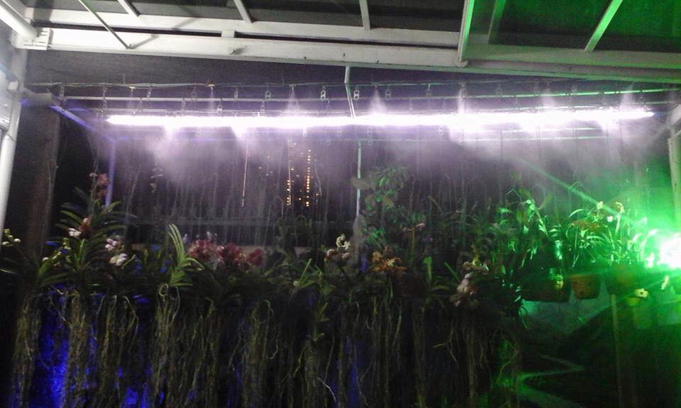 thiết bị tưới hoa phong lan