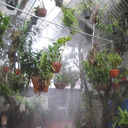 phun sương tưới lan