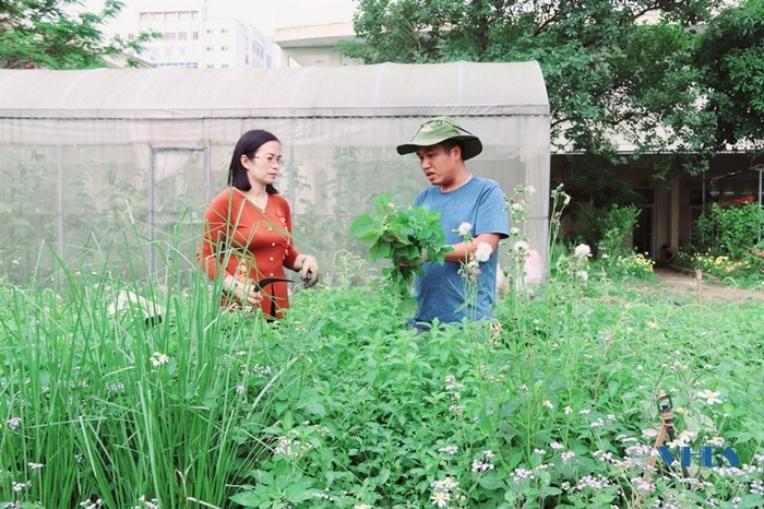 Đẩy mạnh phát triển các sản phẩm OCOP từ cây dược liệu thiên nhiên Đẩy mạnh phát triển các sản phẩm OCOP từ cây dược liệu thiên nhiên