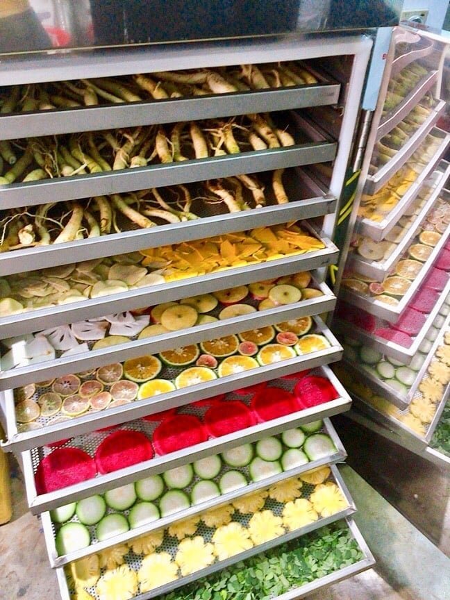 Top 5 lý do quan trọng khiến bạn sử dụng tủ sấy công nghiệp trong sấy khô thực phẩm Top 5 lý do quan trọng khiến bạn sử dụng tủ sấy công nghiệp trong sấy khô thực phẩm