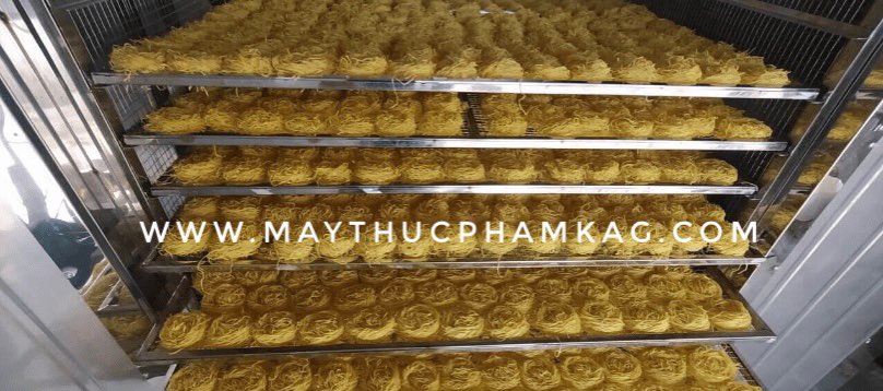 Sấy khô mì rau củ: Công nghệ then chốt trong dây chuyền sản xuất công nghiệp Sấy khô mì rau củ: Công nghệ then chốt trong dây chuyền sản xuất công nghiệp