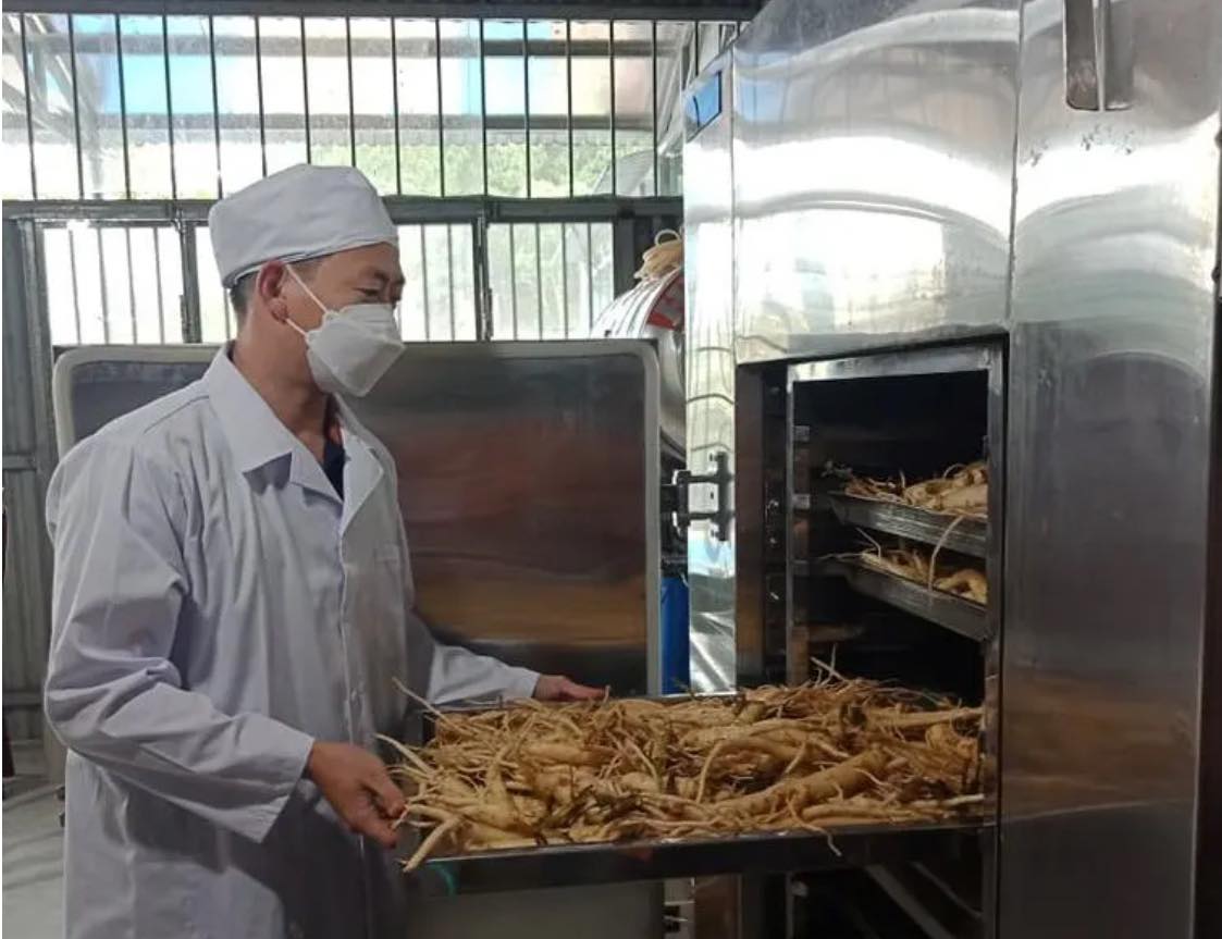Phương pháp sấy nào giúp cho dược liệu giữ nguyên được màu sắc và dưỡng chất