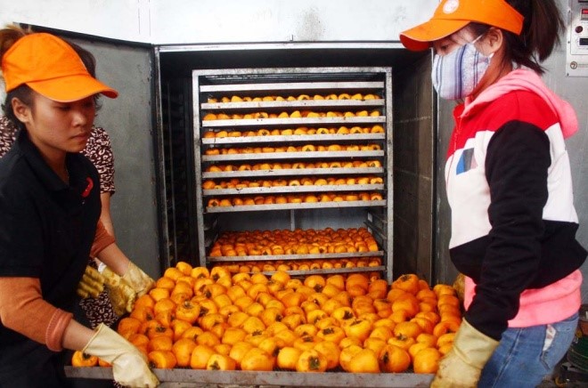 Máy sấy khô thực phẩm đa năng - Sấy khô nhanh các loại từ nông sản, thủy hải sản đến dược liệu Máy sấy khô thực phẩm đa năng - Sấy khô nhanh các loại từ nông sản, thủy hải sản đến dược liệu