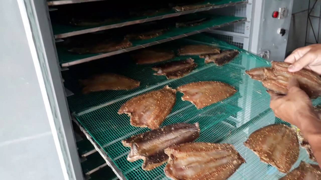 Top 5 lý do quan trọng khiến bạn sử dụng tủ sấy công nghiệp trong sấy khô thực phẩm Top 5 lý do quan trọng khiến bạn sử dụng tủ sấy công nghiệp trong sấy khô thực phẩm