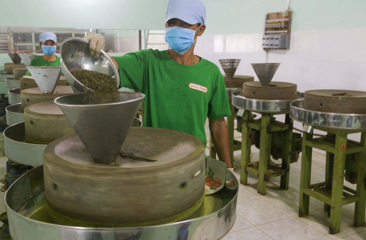 Lá Lốt Và Ứng Dụng Trong Sản Xuất Cao Dược Liệu, Bột Sấy Lạnh Lá Lốt Và Ứng Dụng Trong Sản Xuất Cao Dược Liệu, Bột Sấy Lạnh