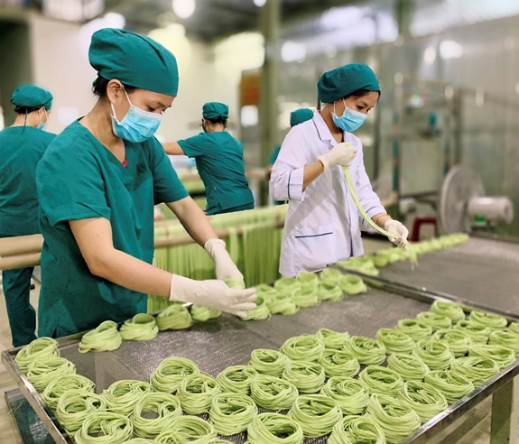 Sấy khô mì rau củ: Công nghệ then chốt trong dây chuyền sản xuất công nghiệp Sấy khô mì rau củ: Công nghệ then chốt trong dây chuyền sản xuất công nghiệp
