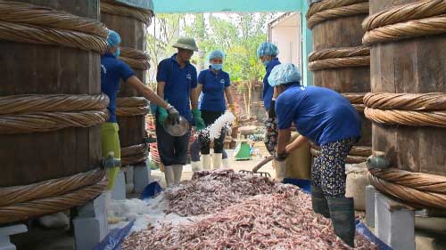 Loại bỏ hoàn toàn cặn bã mắm nhờ máy lọc nước mắm