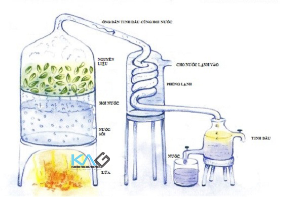 Giới thiệu thiết bị chưng cất tinh dầu thiên nhiên đạt hiệu quả cao