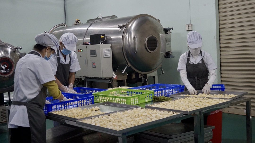 Công nghệ sấy khô sầu riêng đạt chất lượng cao bằng phương pháp sấy thăng hoa Công nghệ sấy khô sầu riêng đạt chất lượng cao bằng phương pháp sấy thăng hoa