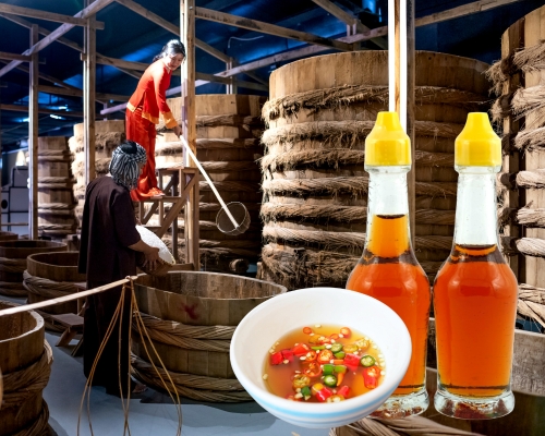 Nước mắm truyền thống OCOP: Tiêu chuẩn sao, quy trình sản xuất và thiết bị cần có Nước mắm truyền thống OCOP: Tiêu chuẩn sao, quy trình sản xuất và thiết bị cần có