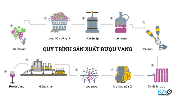 quy trình làm rượu vang - kag việt nam