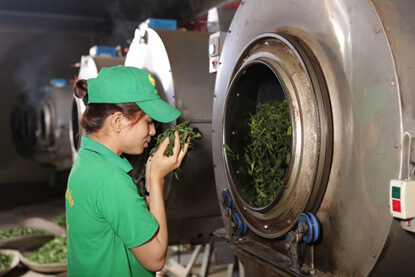 Quy trình sản xuất trà Ô long đạt chuẩn - Máy sấy khô trà khay xoay tròn tự động