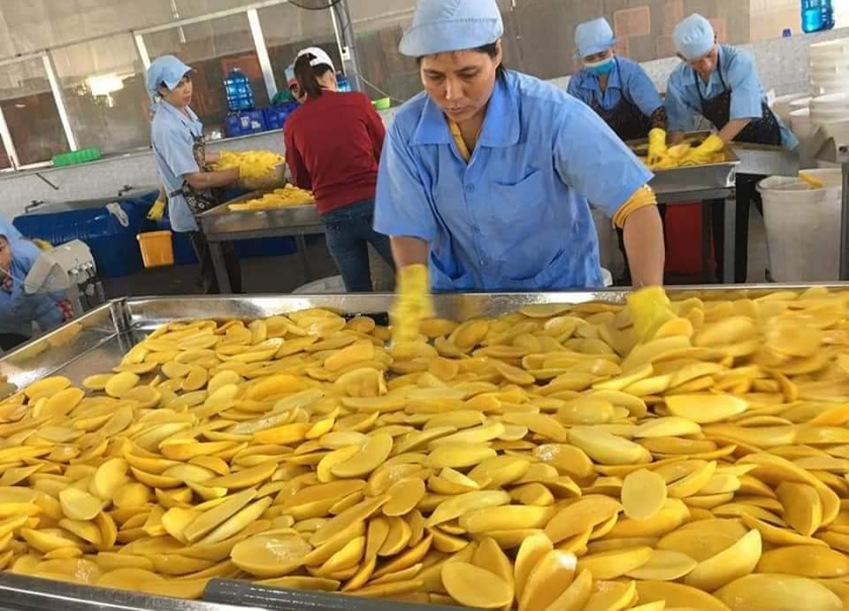 Xoài sấy dẻo bao nhiêu calo?