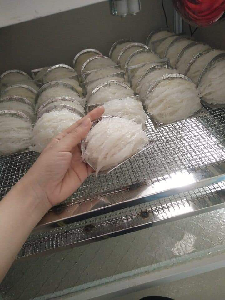 Ứng dụng công nghệ sấy lạnh trong sản xuất tổ yến chất lượng cao Ứng dụng công nghệ sấy lạnh trong sản xuất tổ yến chất lượng cao