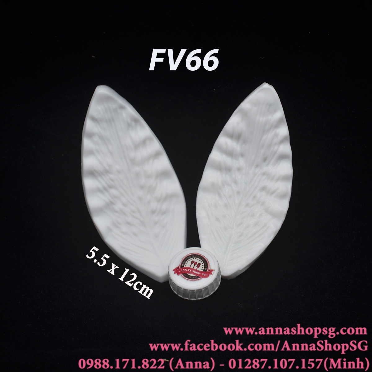 VÂN CÁNH HOA LYLY FV66