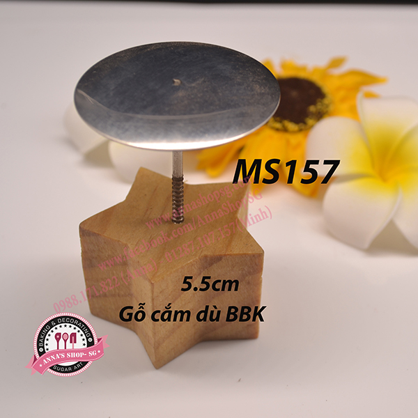 GỖ CẮM DÙ HÌNH SAO MS157