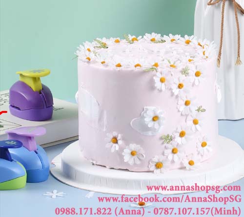 ĐỒ DẬP GIẤY GẠO