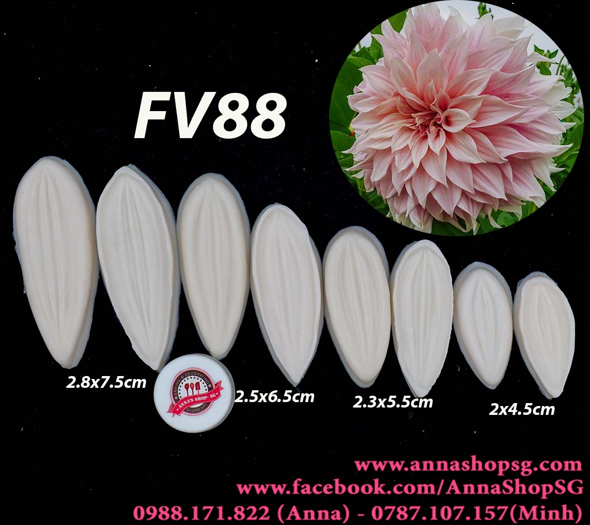 SET VÂN THƯỢC DƯỢC 4 SIZE FV88