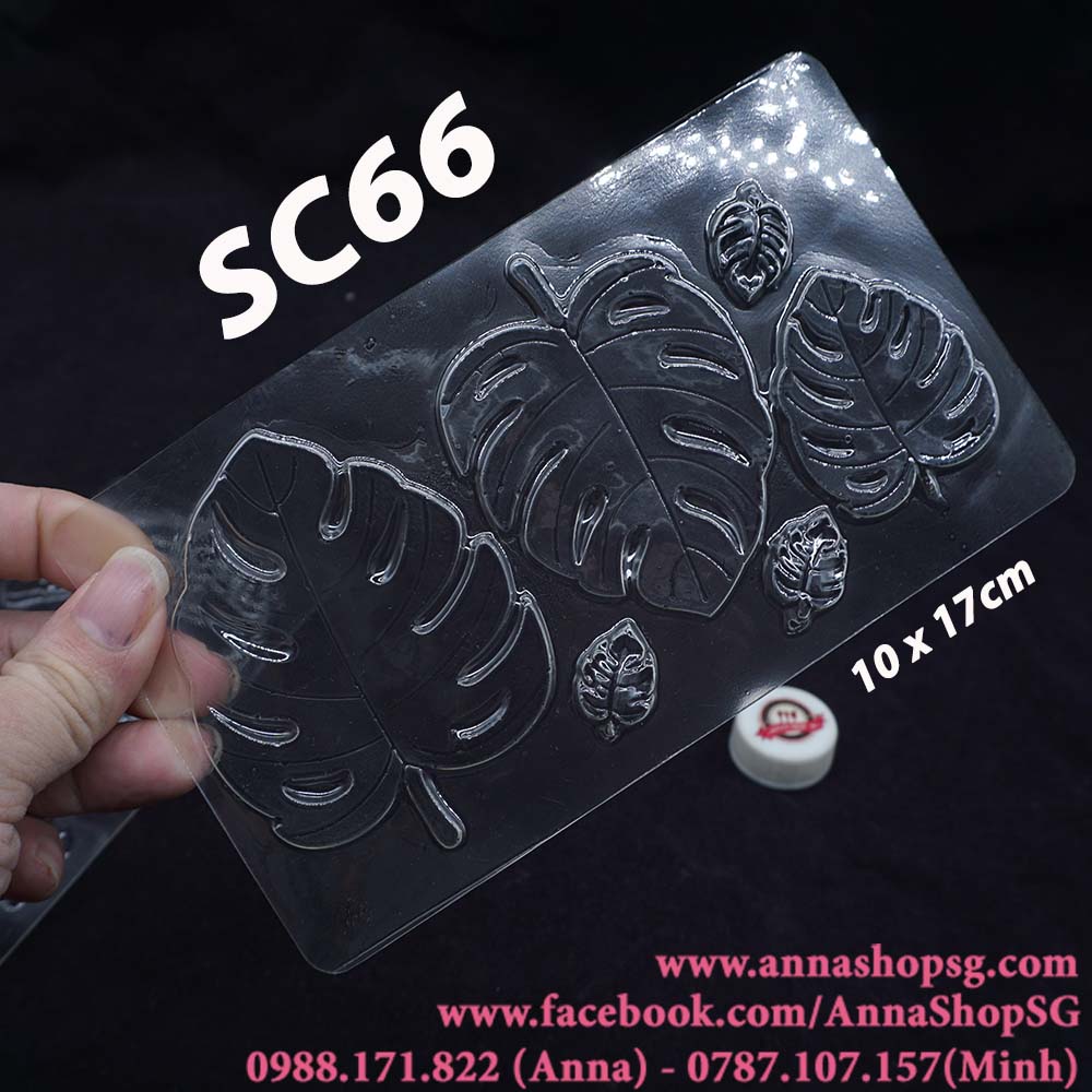 SC66 KHUÔN NHỰA LÁ RÙA NHIỀU SIZE