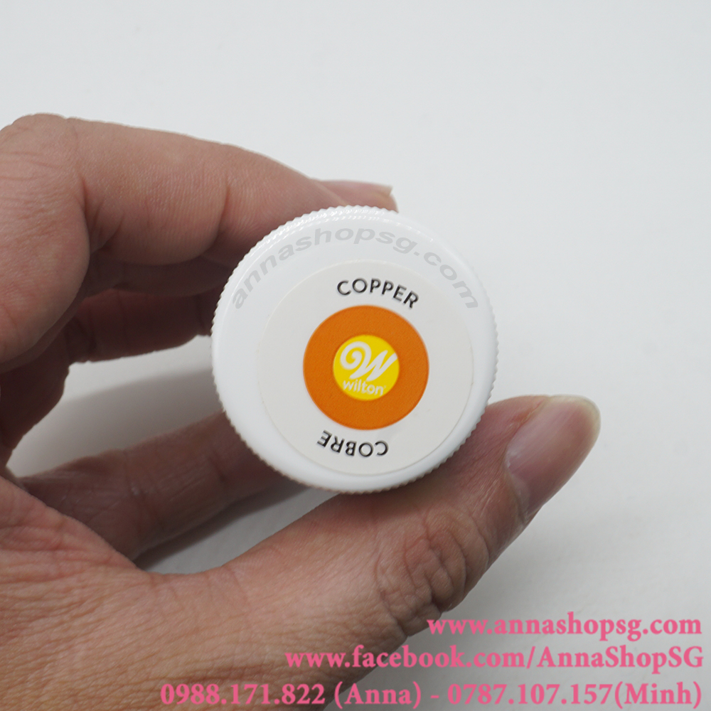 MÀU ICING WILTON 28,3g