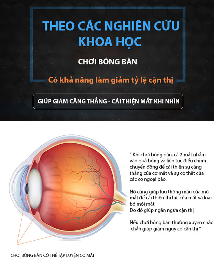 do-choi-bong-ban-tap-phan-xa-cho-be-19