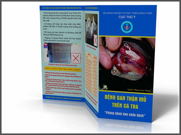 Tờ Rơi 3