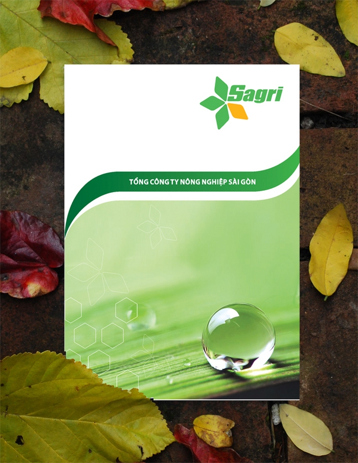 catalogue Sagri