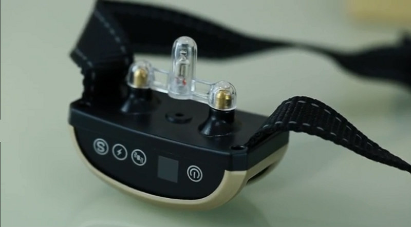 Vòng cổ chống chó sủa chính hãng giá rẻ