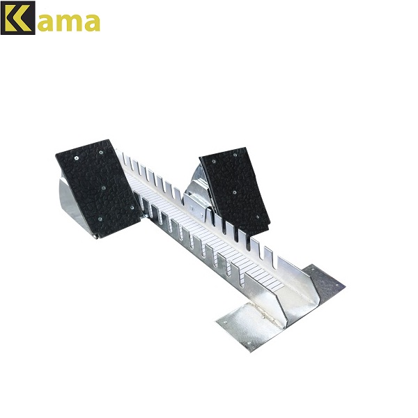 Bàn đạp xuất phát kép