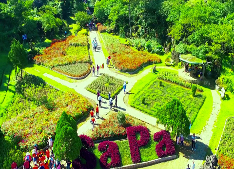 Những mùa hoa chính ở SaPa