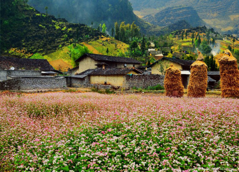 Làng du lịch Lũng Cẩm - Hà Giang