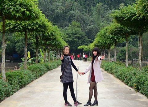 Giá Vé Khu Du Lịch Vườn Chim Thung Nham Cập Nhật 2025