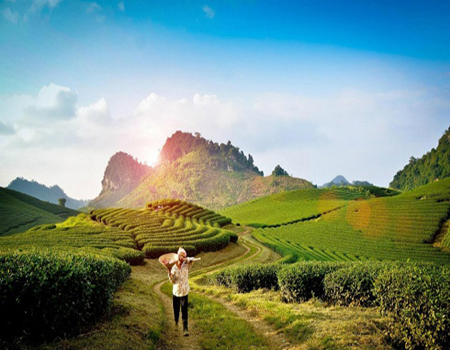 Tết độc lập của người Mông trên cao nguyên Mộc Châu