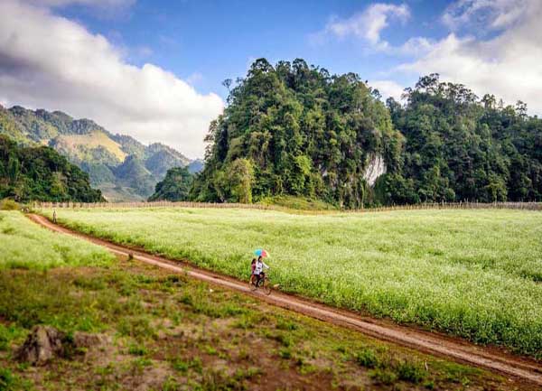 Phương tiện di chuyển đi tham quan Mộc châu